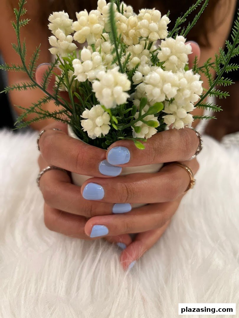 A close-up of hands with light blue manicured nails holding a small potted plant on a white furry surface.