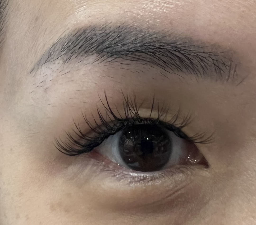 Close-up of an eye showcasing beautifully applied eyelash extensions and a well-groomed eyebrow.