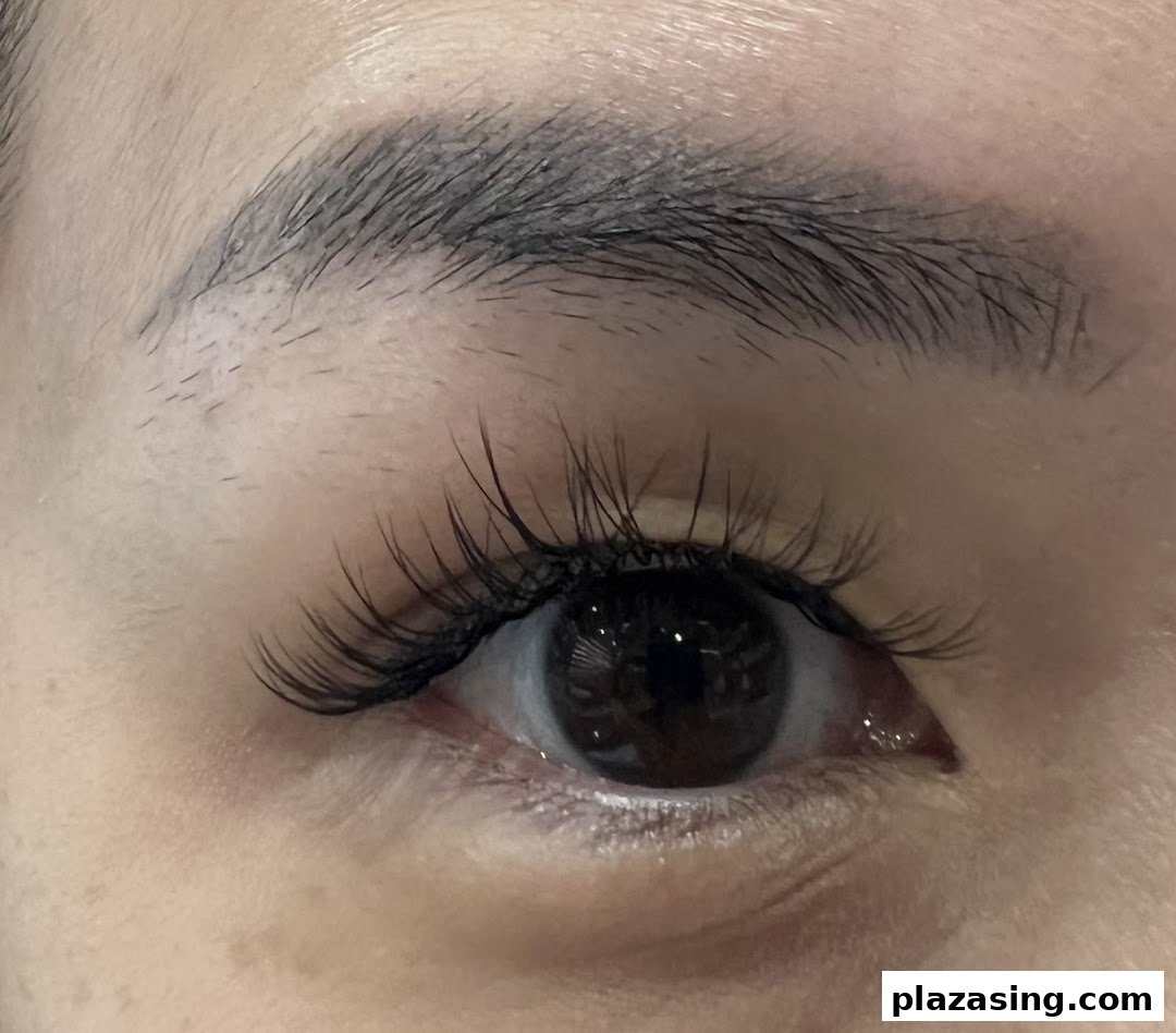 Close-up of an eye showcasing beautifully applied eyelash extensions and a well-groomed eyebrow.