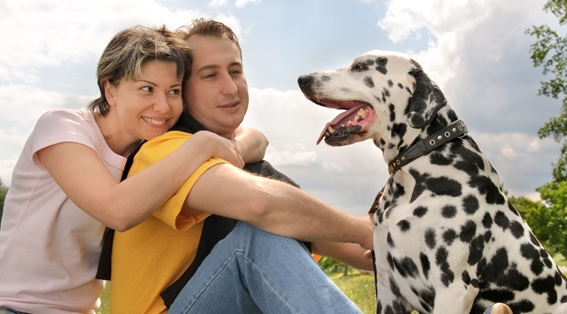 Pet Lovers Centre - Plaza Singapura image 3