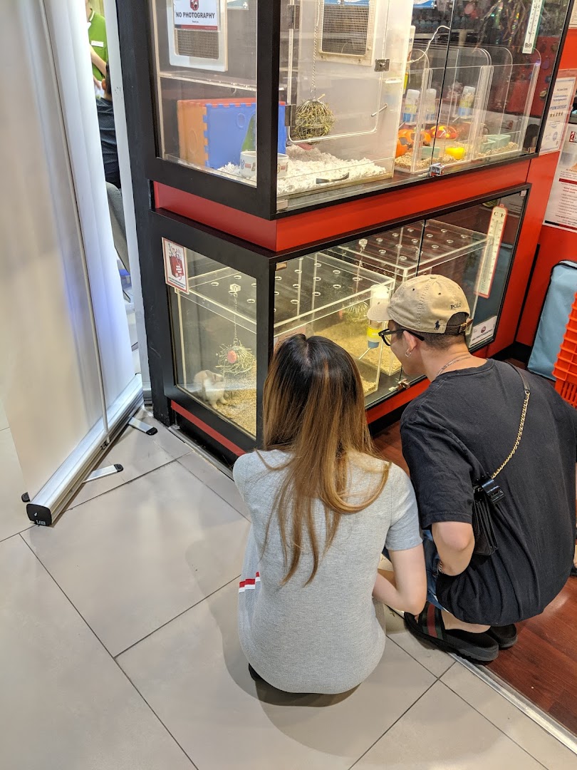 Two customers observe small animals in glass enclosures at Pet Lovers Centre, showcasing the shop's live pet section.