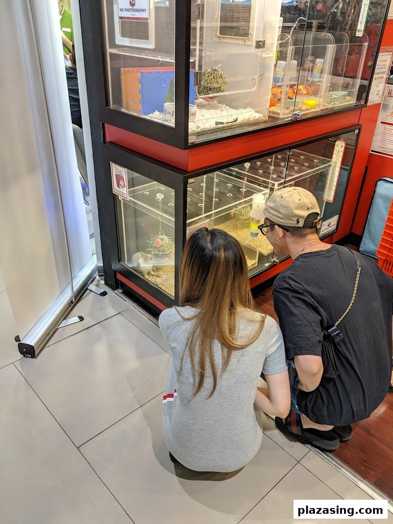 Two customers observe small animals in glass enclosures at Pet Lovers Centre, showcasing the shop's live pet section.