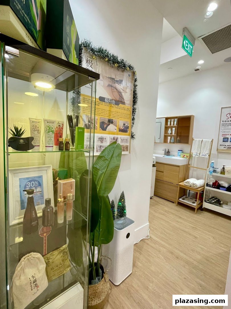 Interior view of Refresh TCM Wellness, featuring a product display, plant, and treatment area.