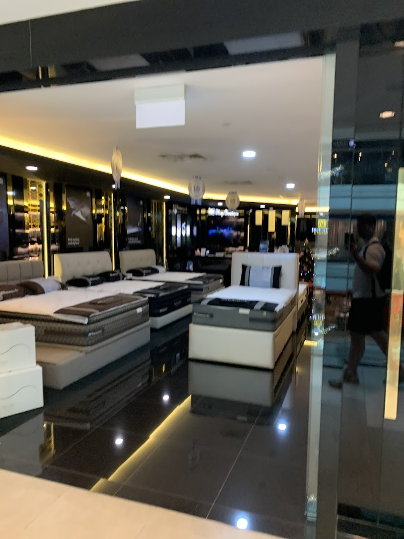 Interior of Sealy Sleep Boutique displaying a wide range of premium mattresses and bed frames in a well-lit showroom.