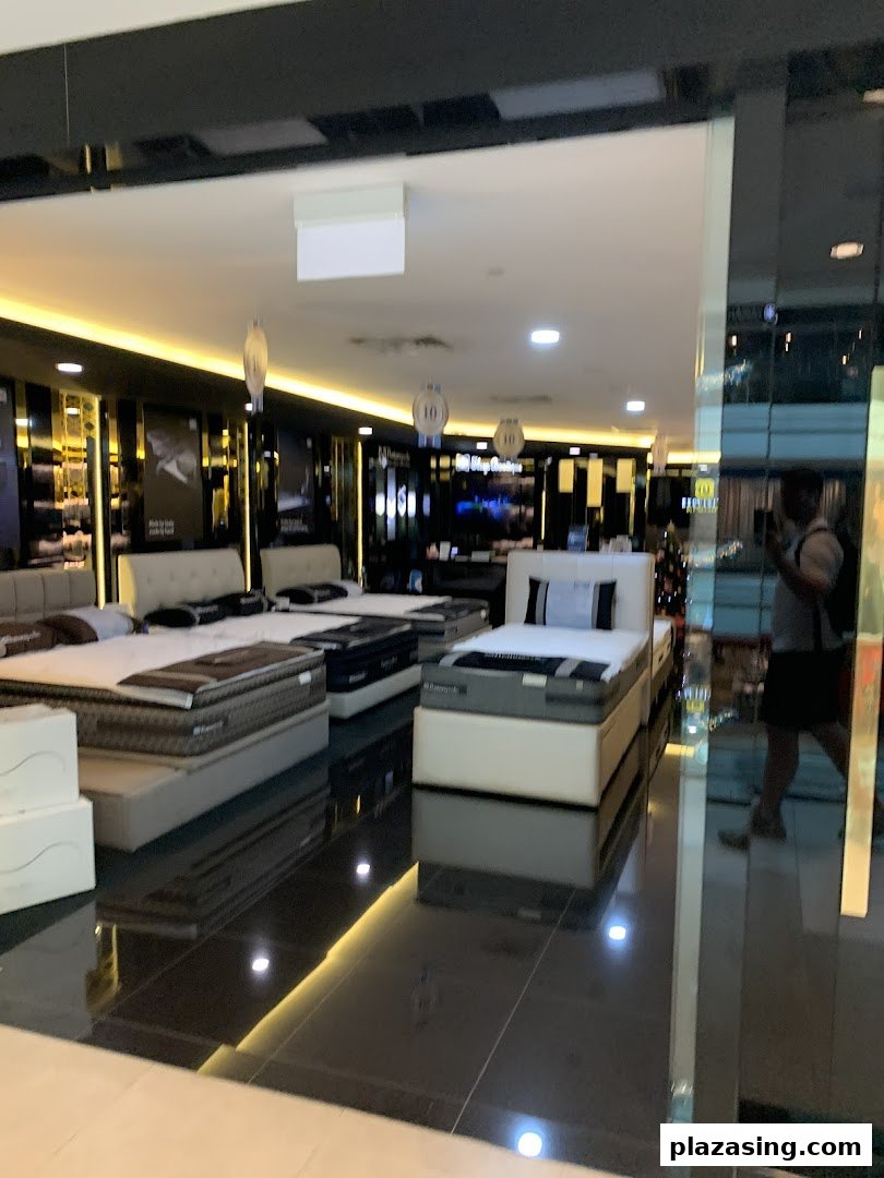 Interior of Sealy Sleep Boutique displaying a wide range of premium mattresses and bed frames in a well-lit showroom.