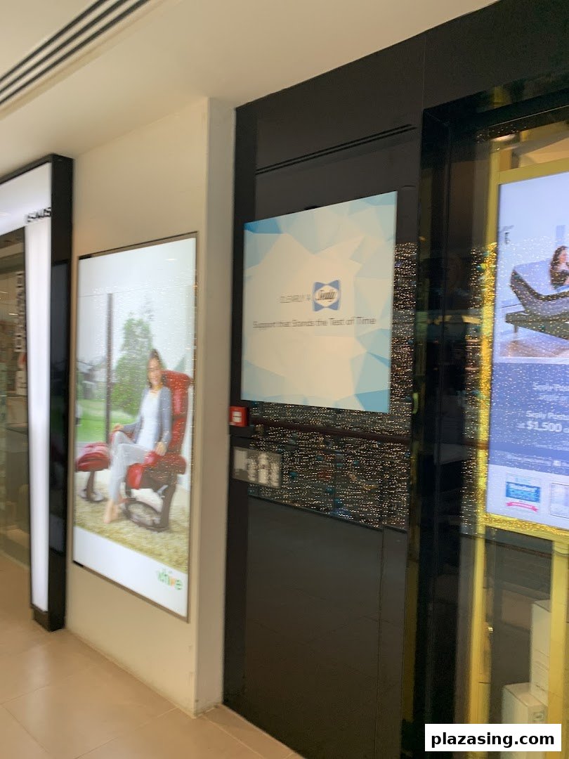 Exterior view of Sealy Sleep Boutique showcasing promotional displays for mattresses and sleep solutions.
