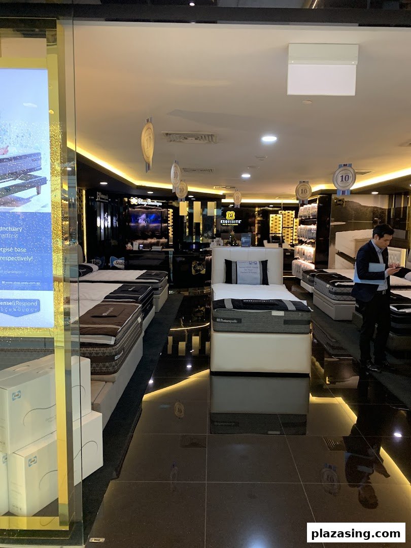 An interior view of Sealy Sleep Boutique showcasing various mattresses and bedding displays.