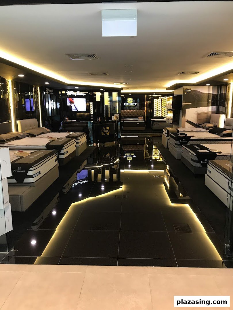 A luxurious interior view of Sealy Sleep Boutique, showcasing various mattresses and beds in a well-lit showroom.