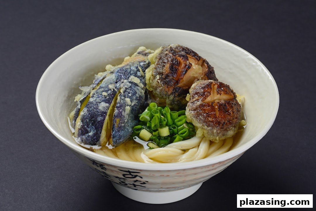 A bowl of Japanese udon noodles topped with tempura eggplant, mushrooms, and chopped green onions.