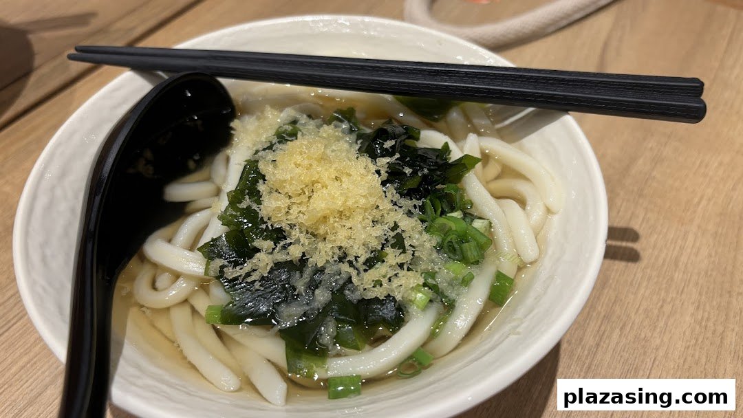 A close-up of a bowl of udon noodles with seaweed, green onions, and tempura flakes.