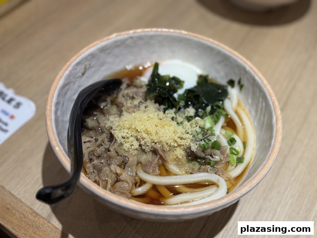 A close-up of a delicious bowl of udon noodles with beef, egg, and seaweed.