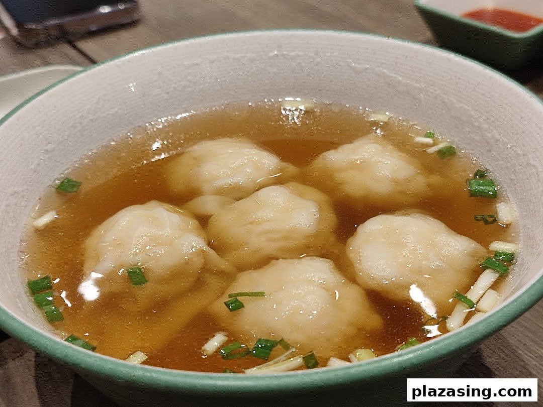 A close-up of a bowl of delicious dumplings in clear broth, garnished with chopped green onions.