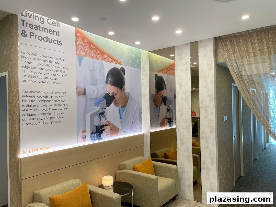 An inviting waiting area at True Harmony, featuring a detailed display about Living Cell Treatment & Products.