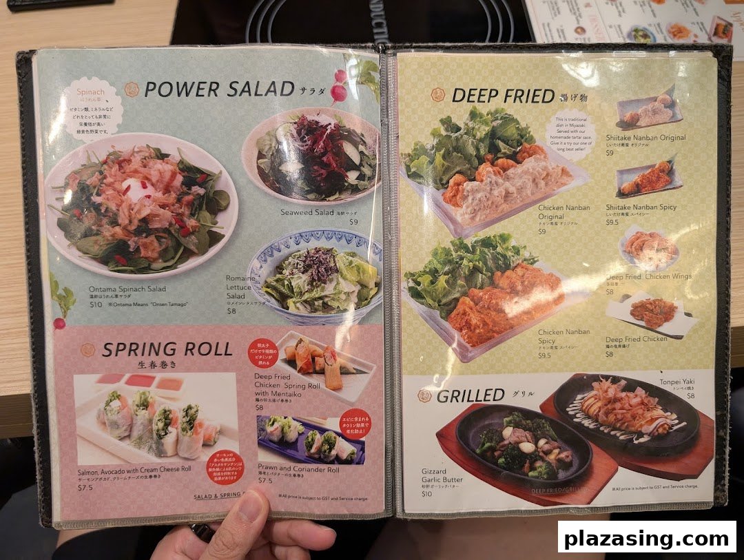 A detailed menu displaying various Japanese salads, deep-fried dishes, spring rolls, and grilled items.