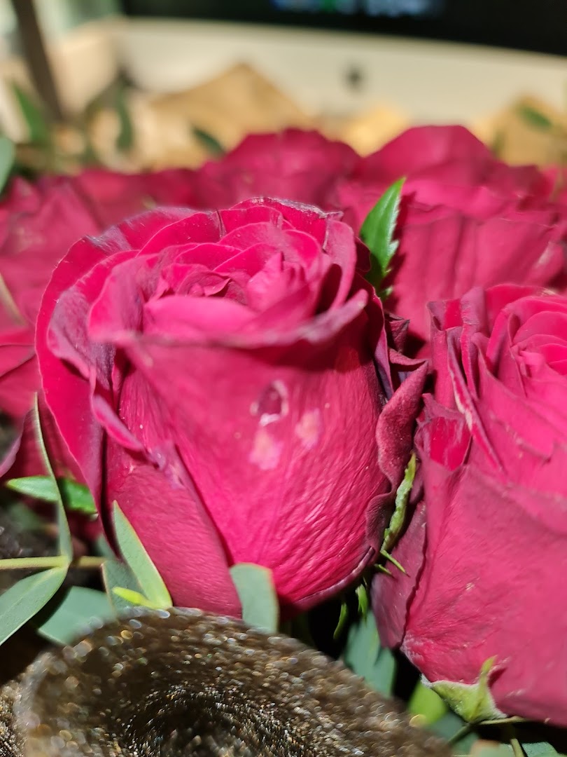 Xpressflower image 15