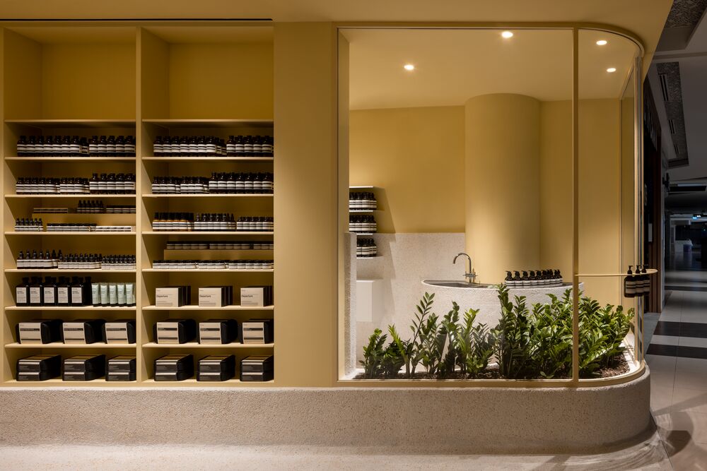 An interior view of an Aesop store showcasing product shelves and a unique display with a sink and lush plants.