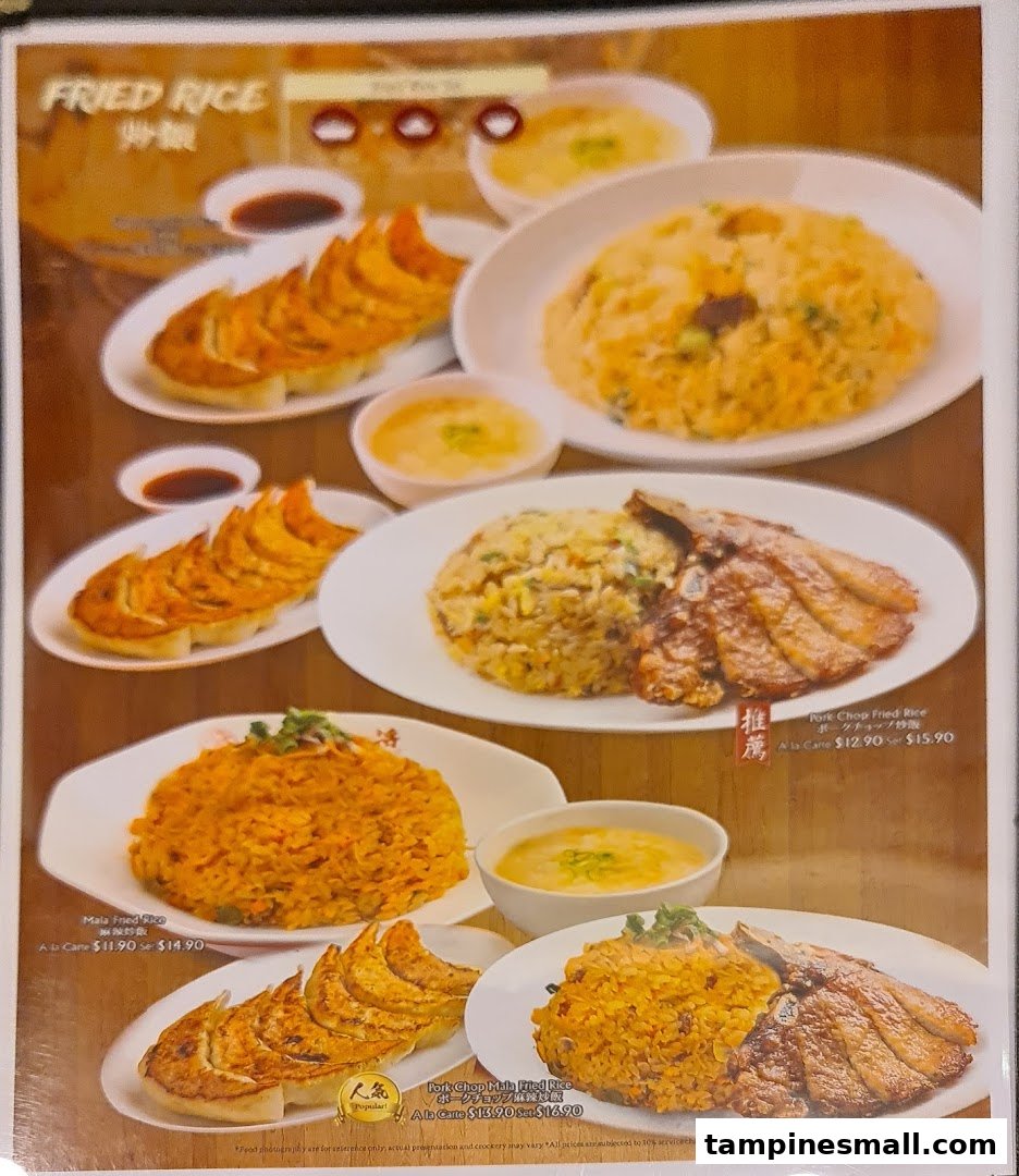 A menu page showcasing various fried rice dishes, some with pork chops and gyoza.