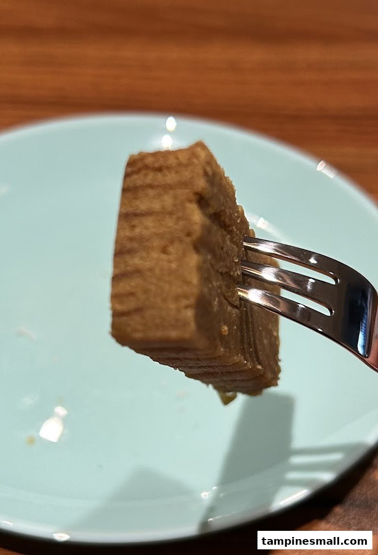 A delicious piece of layered cake, likely Lapis Legit, on a fork over a light blue plate.