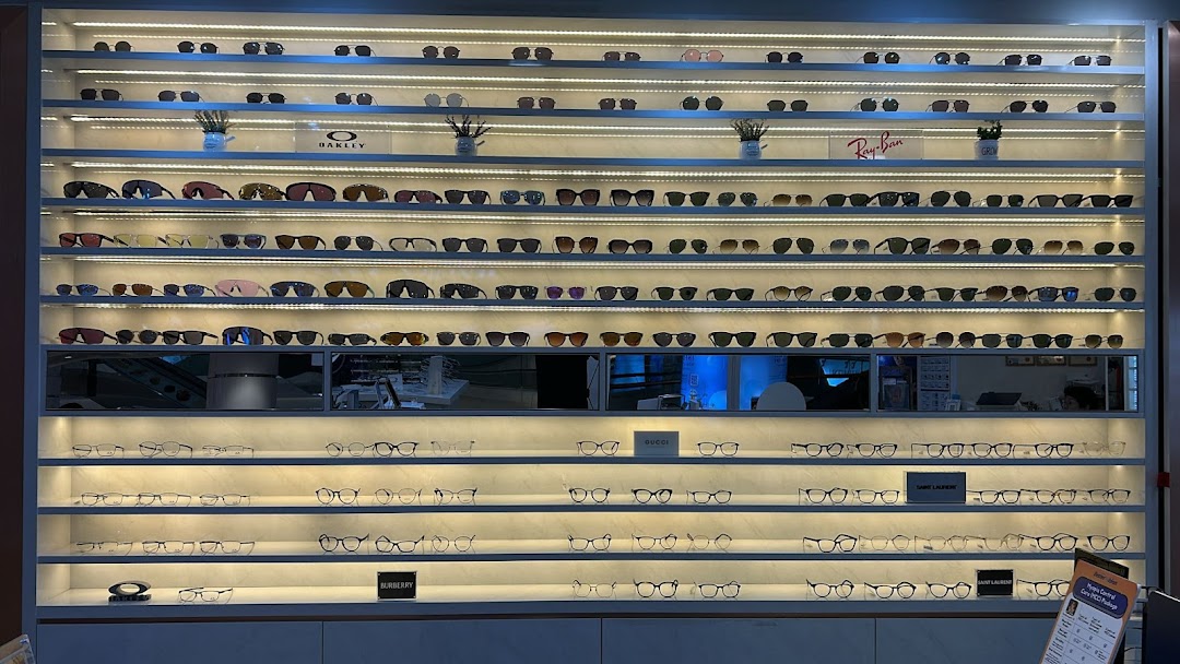 A brightly lit display wall showcasing a wide variety of sunglasses and optical frames from various brands.