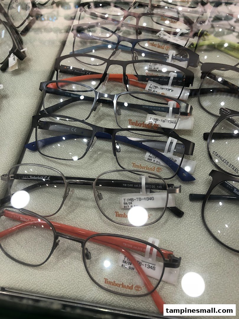 A close-up view of various Timberland brand eyeglasses displayed in a retail case.