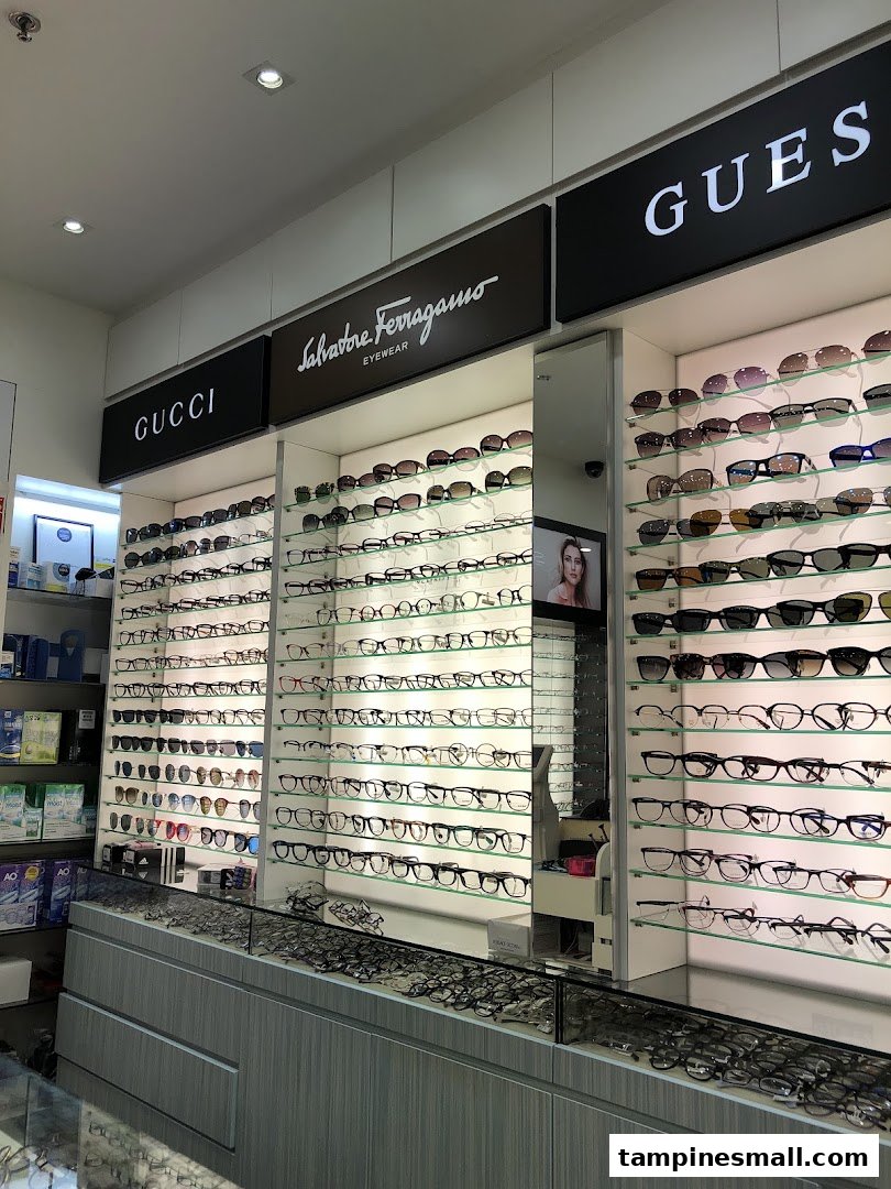 An optical shop interior showcasing a wide selection of eyeglasses and sunglasses from brands like Gucci, Salvatore Ferragamo, and Guess.