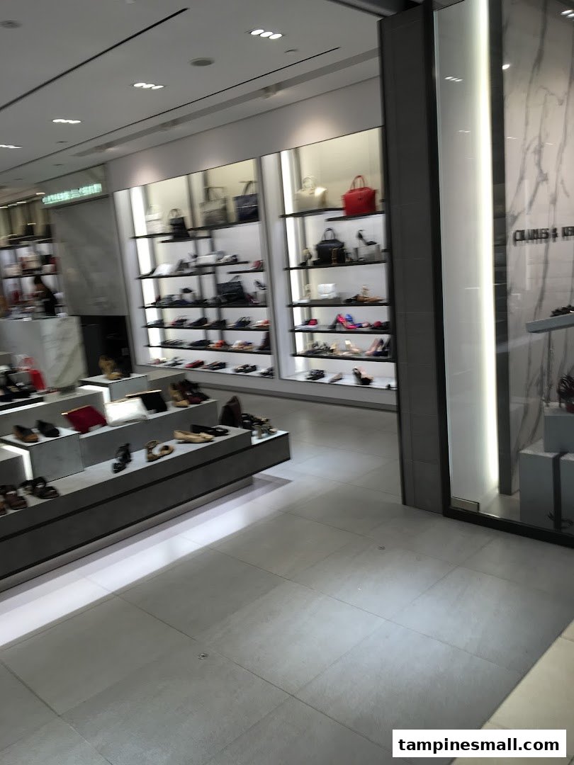Interior view of CHARLES & KEITH store showcasing a wide array of stylish shoes and handbags on modern displays.