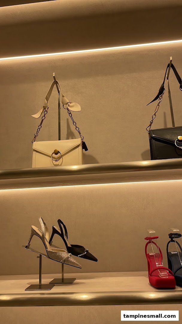 Stylish handbags and shoes displayed on illuminated shelves inside a CHARLES & KEITH store.