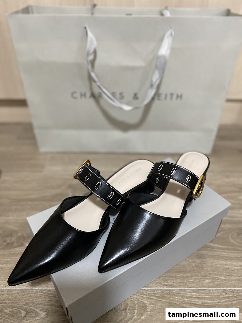 Stylish black pointed-toe mules with a buckle strap, displayed with a CHARLES & KEITH shopping bag.