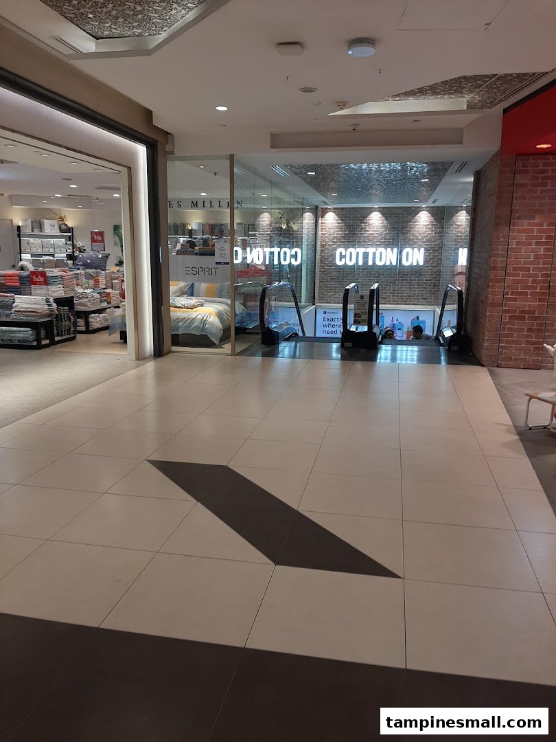 The image shows the entrance to Cotton On with escalators leading down, featuring its prominent logo.