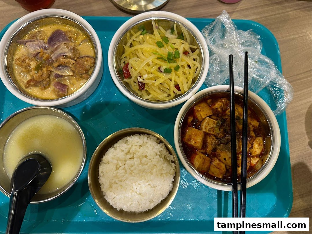 A vibrant tray of Asian dishes including rice, soup, and various main courses.