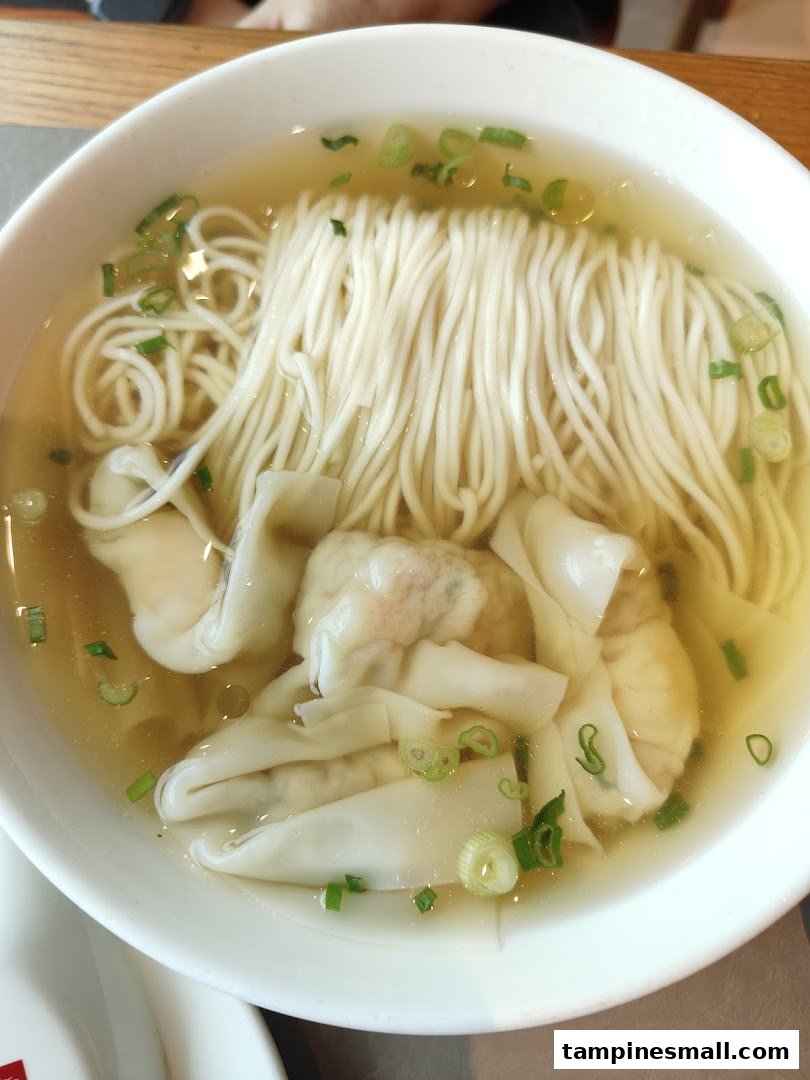 A close-up of a bowl of clear noodle soup with dumplings and chopped spring onions.