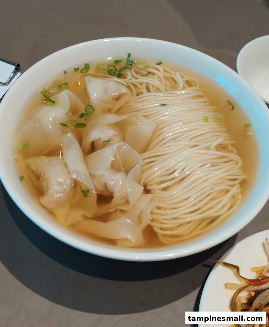 A close-up of a bowl of clear noodle soup with dumplings and chopped green onions.