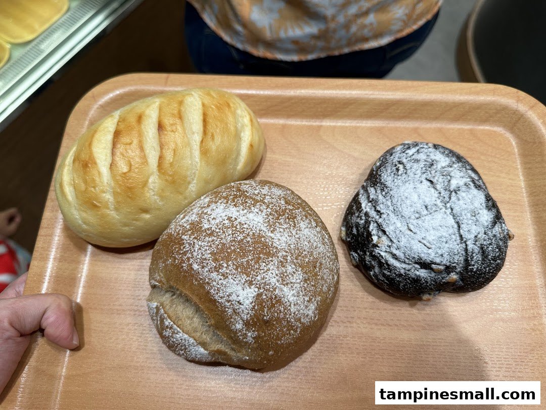 Three freshly baked Japanese breads, including a plain roll, a dark rye, and a chocolate bun, on a wooden tray.