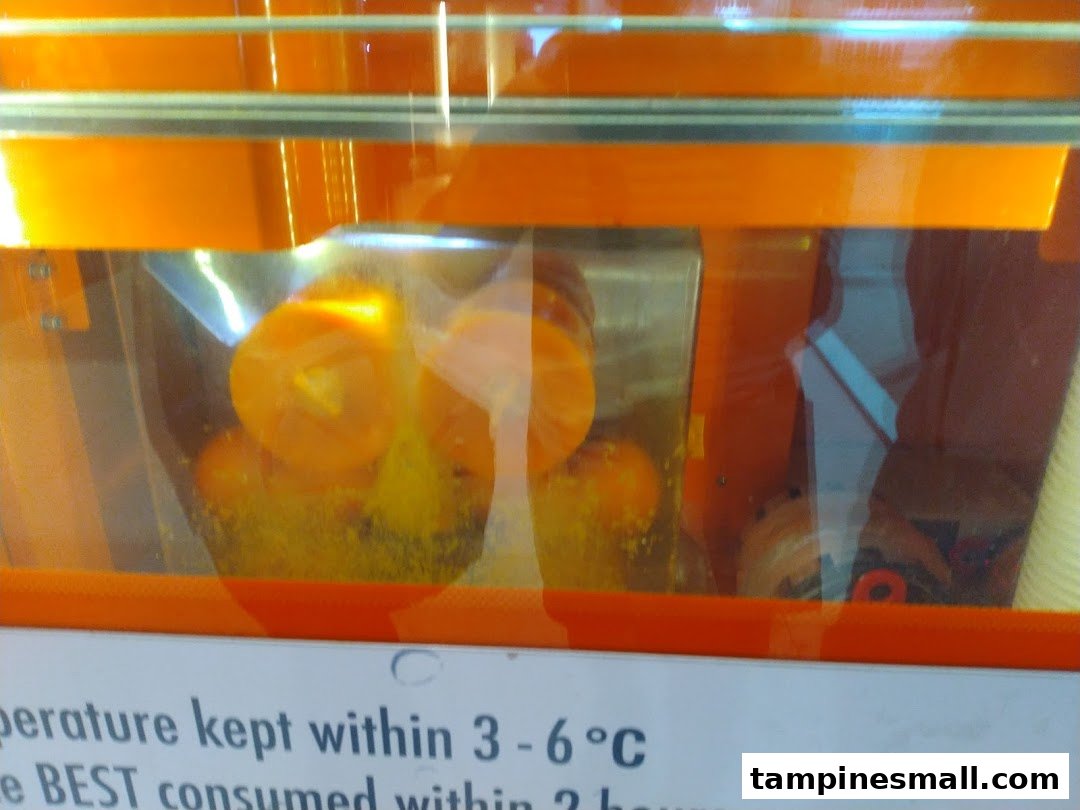 A close-up of fresh oranges inside an iJooz juice machine, ready for squeezing.