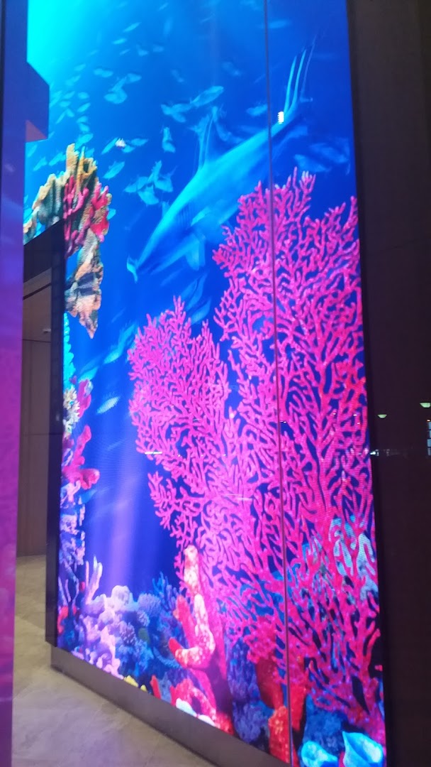 A vibrant digital display showcasing an underwater scene with a shark, fish, and colorful coral.