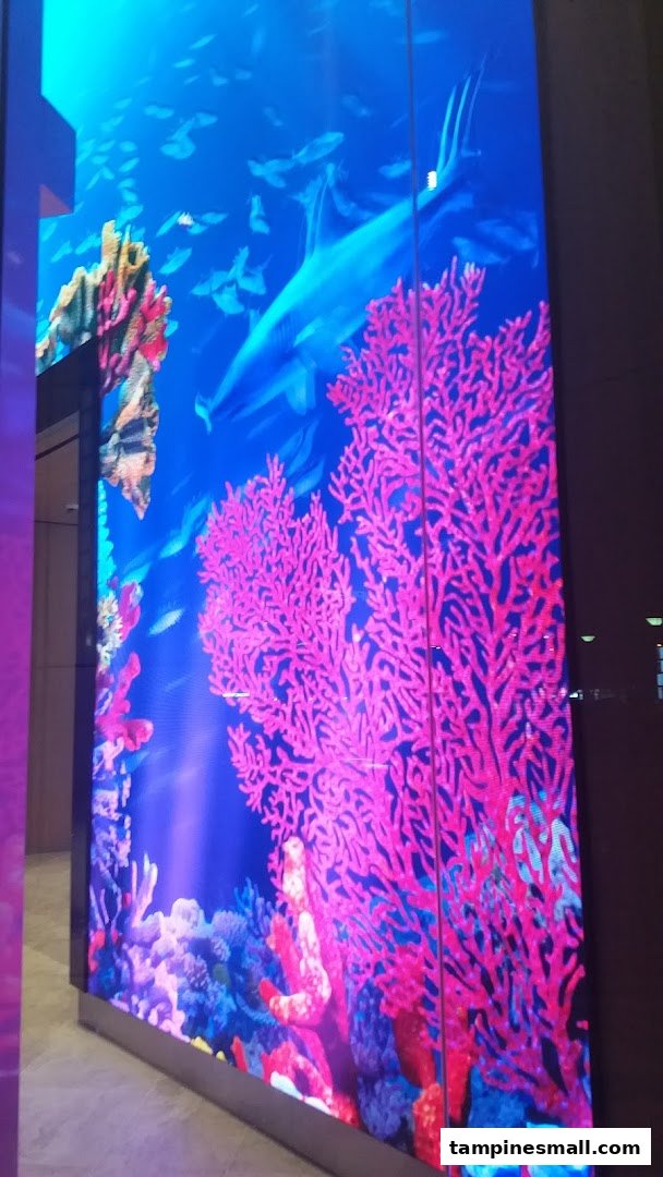 A vibrant digital display showcasing an underwater scene with a shark, fish, and colorful coral.