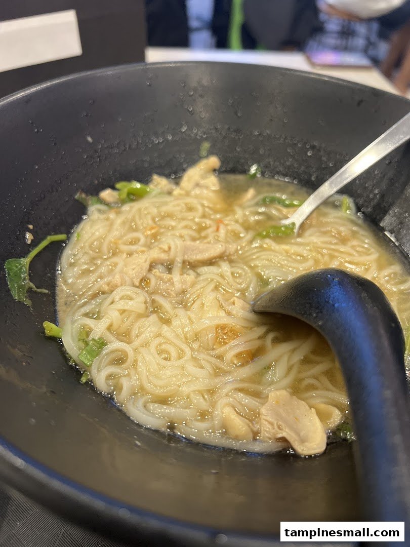 A close-up of a comforting bowl of noodles with chicken and greens.