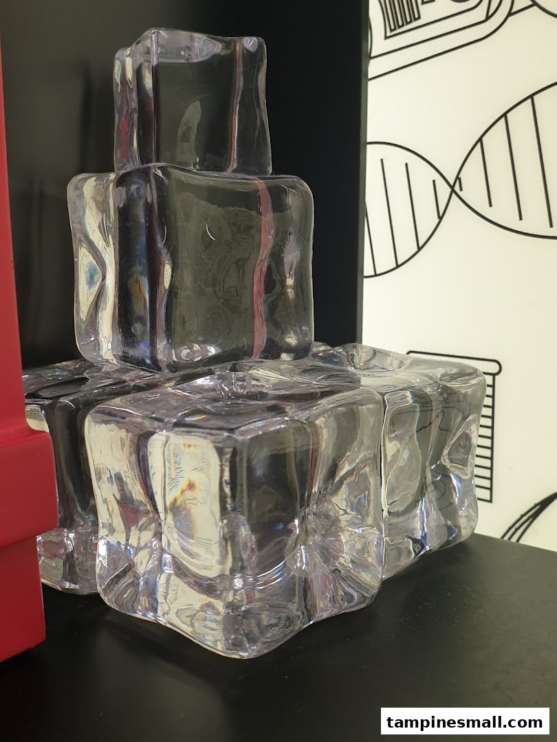 Close-up of decorative clear blocks resembling ice cubes on a shelf with scientific illustrations in the background.