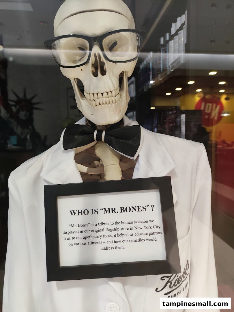 A skeleton figure, 'Mr. Bones,' in a lab coat with a sign explaining its history at Kiehl's.