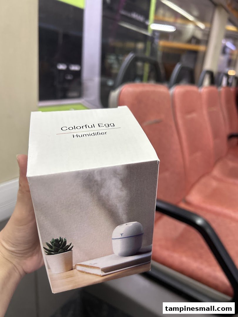 A hand holds a product box for a 'Colorful Egg Humidifier' with a vehicle interior in the background.