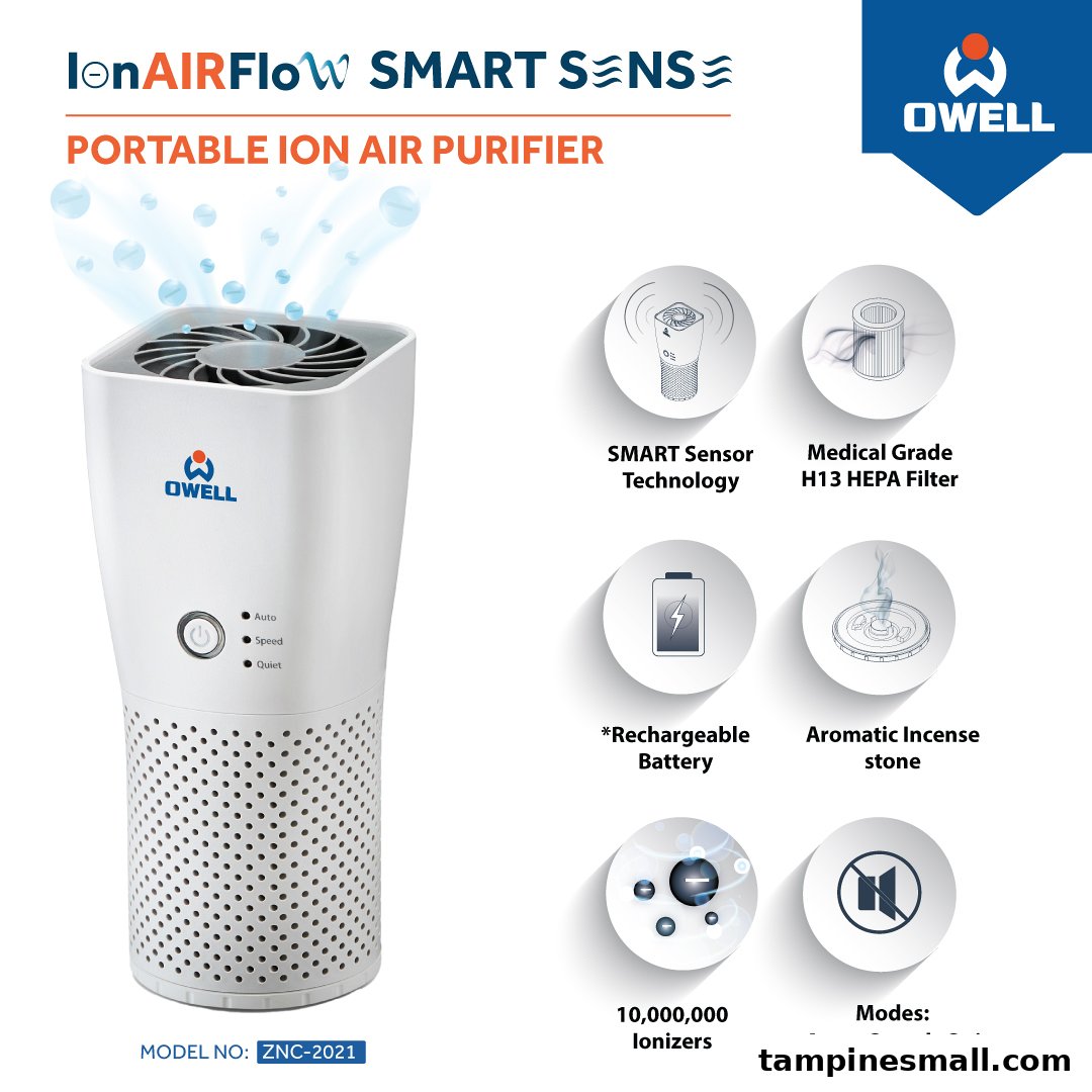 An OWELL portable ion air purifier showcasing its smart features and benefits for clean air.