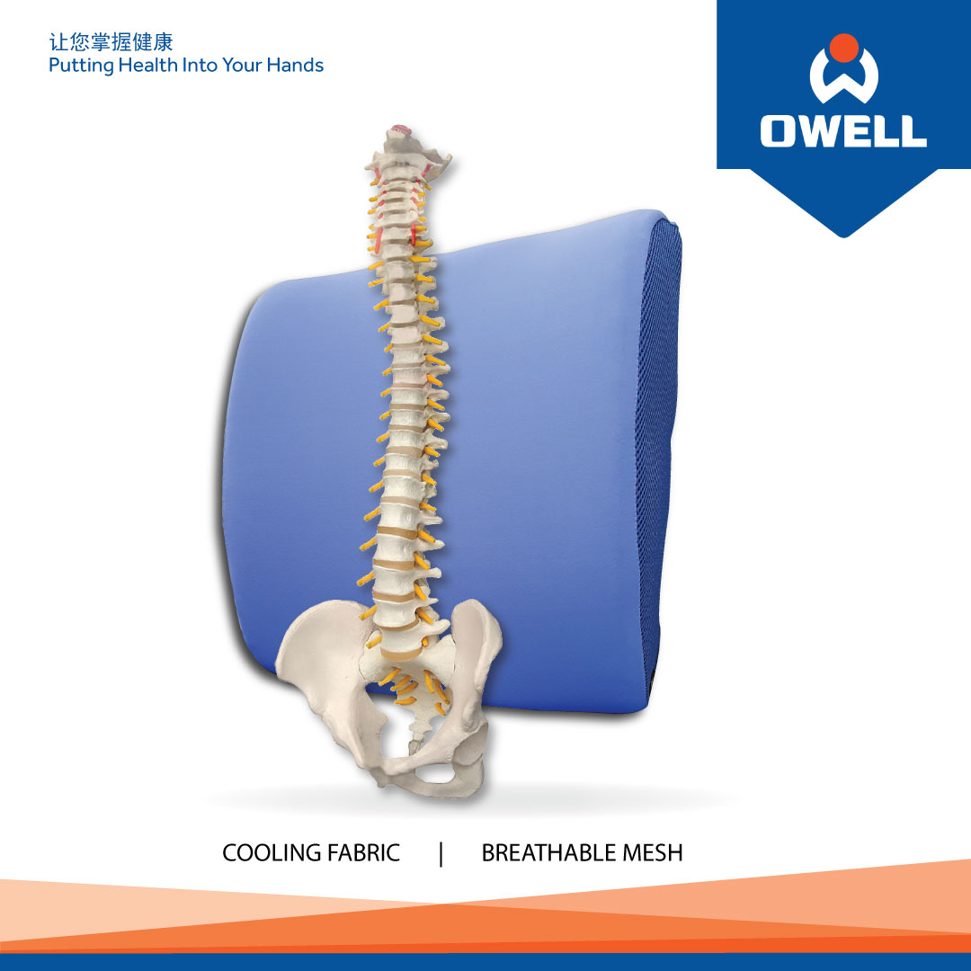 A blue lumbar support cushion with a spine model, highlighting cooling fabric and breathable mesh.
