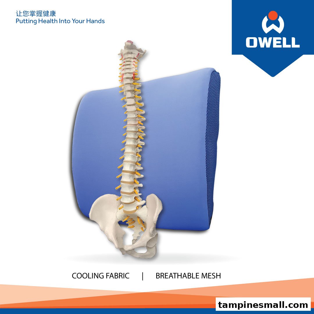 A blue lumbar support cushion with a spine model, highlighting cooling fabric and breathable mesh.