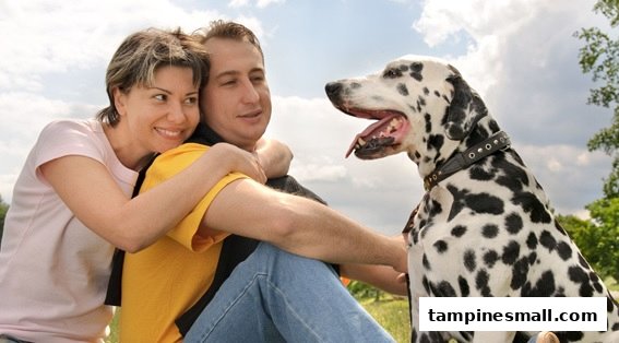 A happy couple with their Dalmatian dog enjoying a sunny outdoor moment.