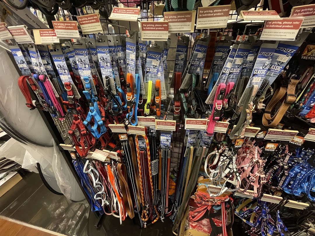 A display rack filled with various colorful pet collars, leashes, and harnesses.