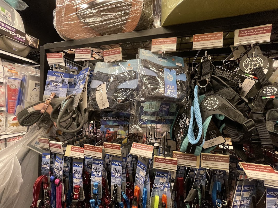 A retail display showcasing a variety of pet harnesses and collars on shelves in a pet store.