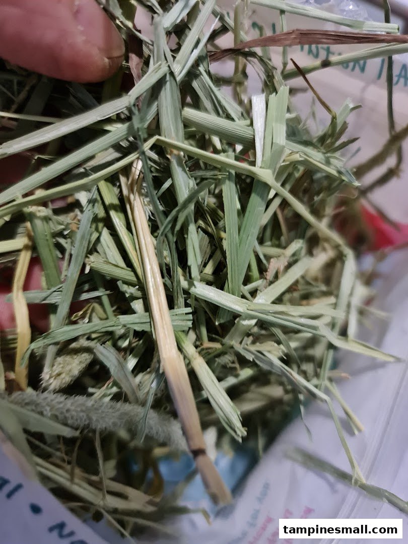 Close-up of fresh hay, a common pet food or bedding product, held by a hand.
