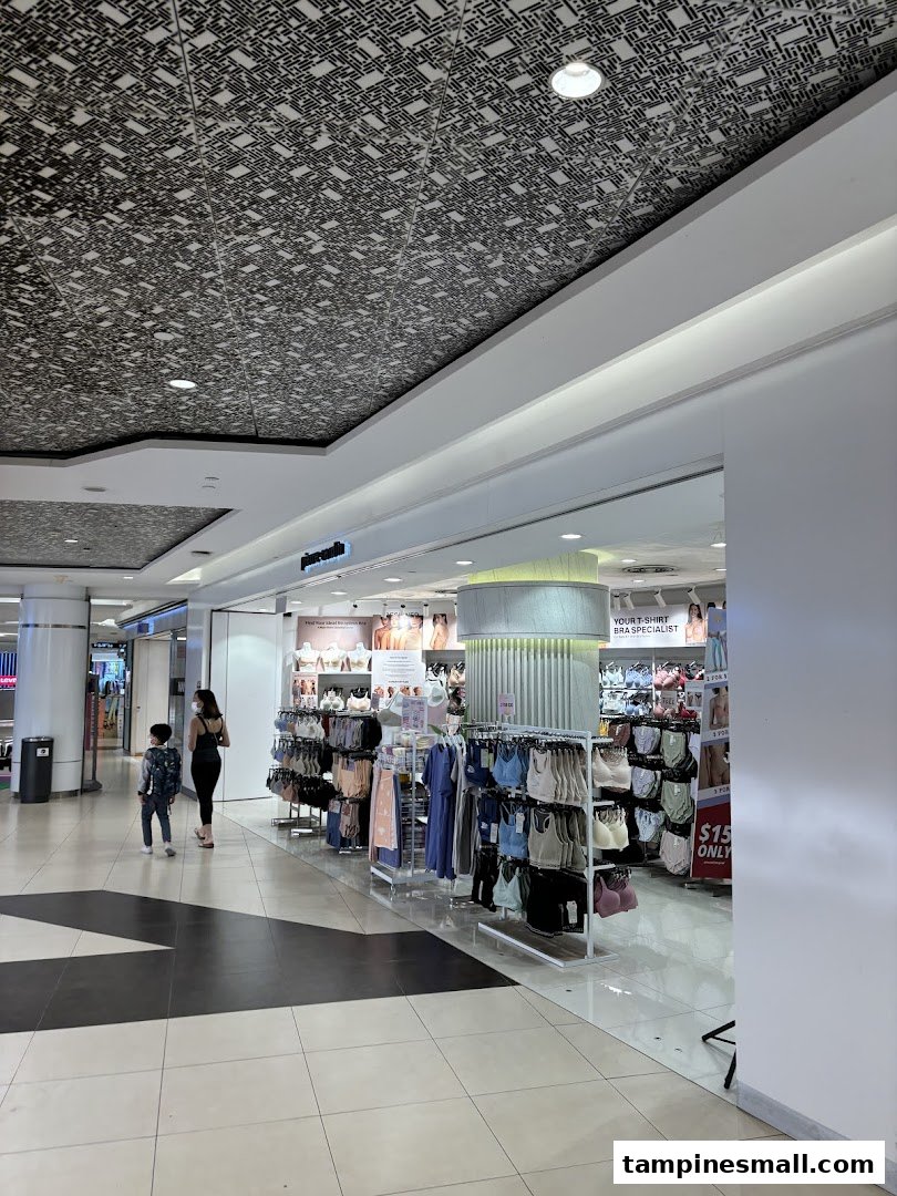 Interior view of Pierre Cardin Lingerie, showcasing various bras and undergarments on display racks.