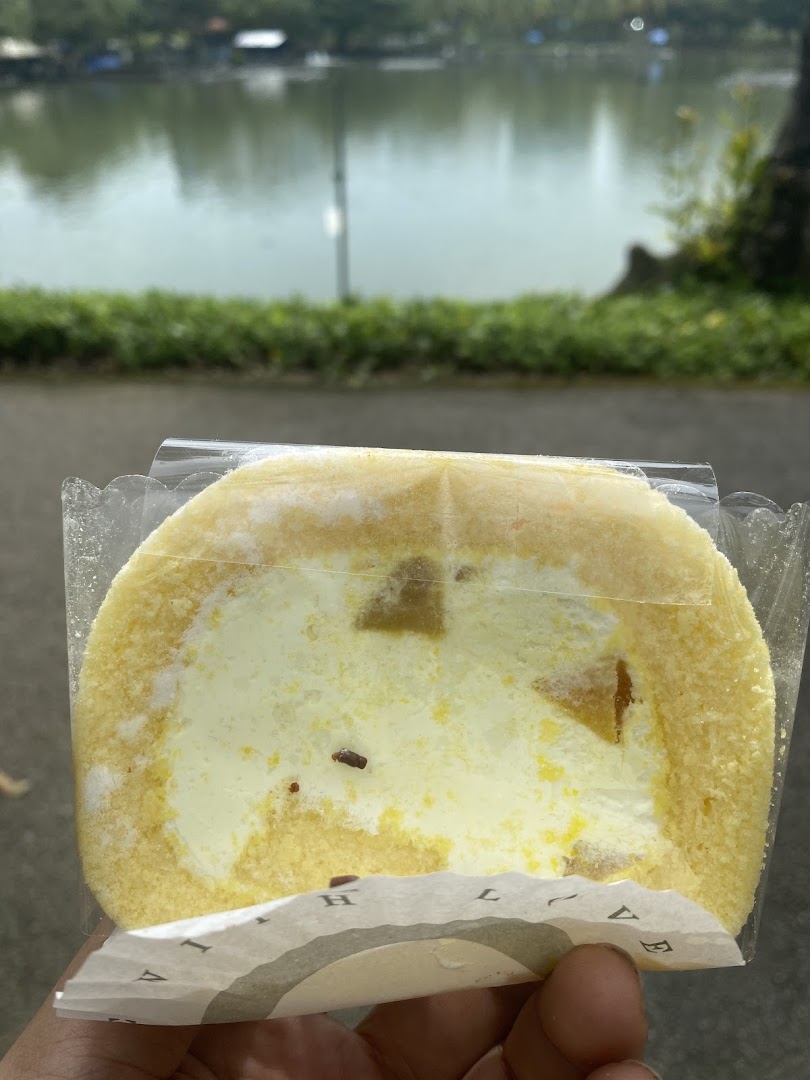 A hand holds a slice of cake roll with a scenic lake in the blurred background.