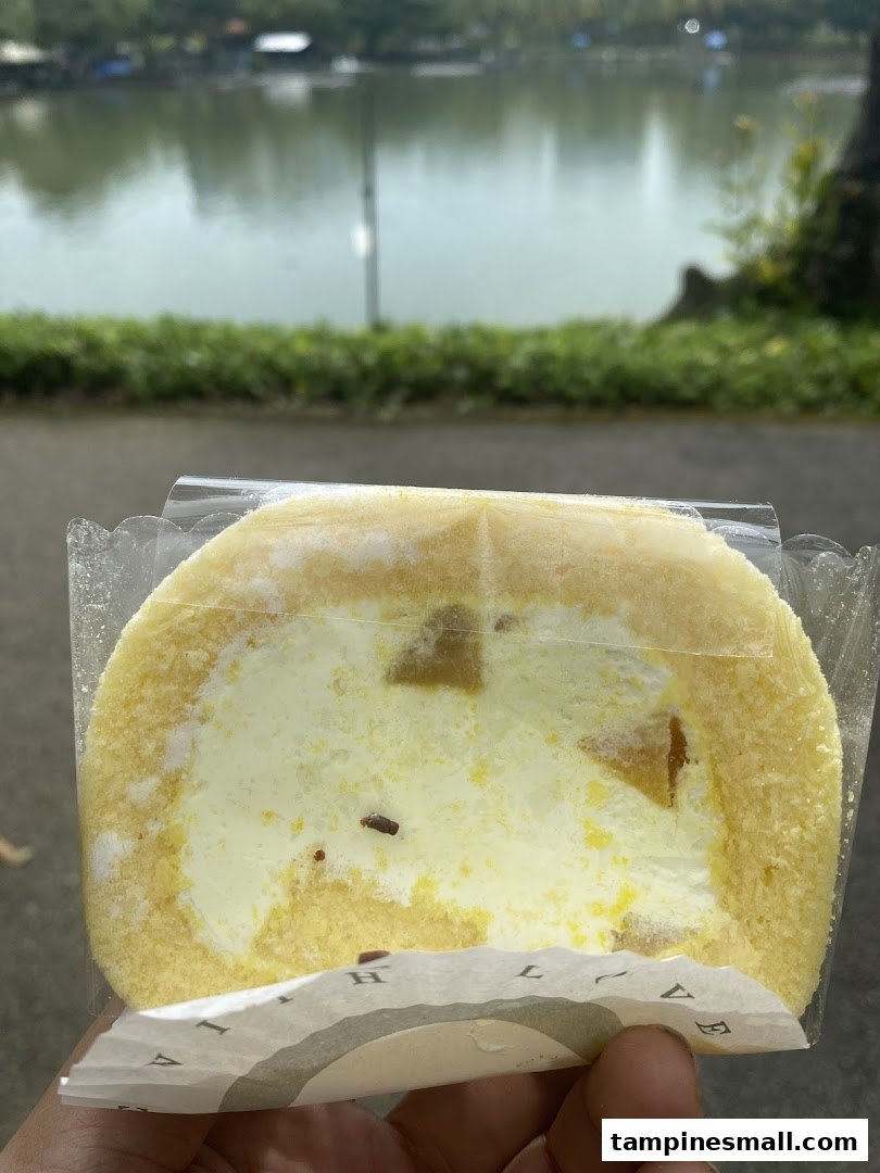 A hand holds a slice of cake roll with a scenic lake in the blurred background.